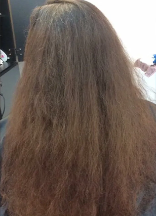 Back view of long, wavy brown hair with frizzy texture