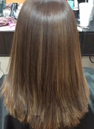 Straight brown shoulder-length hair viewed from the back, with slightly lighter ends.