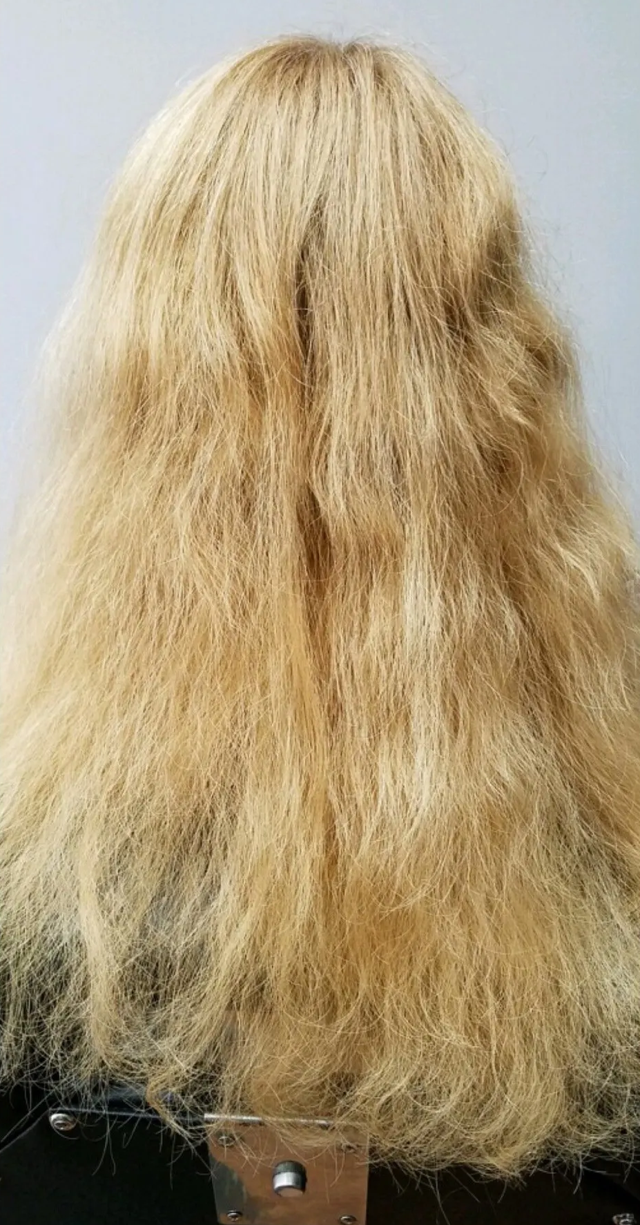 Frizzy blonde hair wig with dark roots on a mannequin head, shown from the back