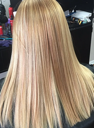 Blonde hair with subtle highlights, shown from the back and styled straight in a salon setting