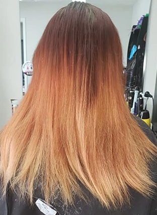 Long straight ombrÃ© hair from dark brown to blonde, viewed from the back indoors.